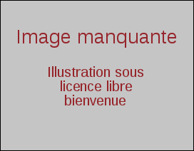 Image manquante.svg